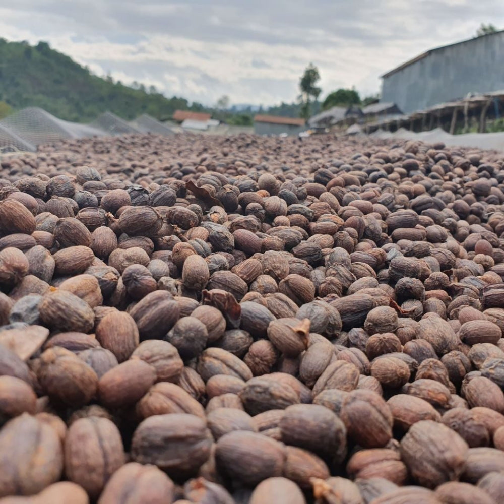 Fair Trade bio kávébabot Etiópia Sidamo 250 g
